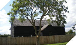 tree surgery, tree cutting wales