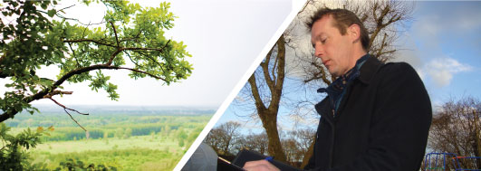 tree surgery, tree surveys, landscaping, woodland management powys wales